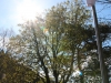 Super Wetter I